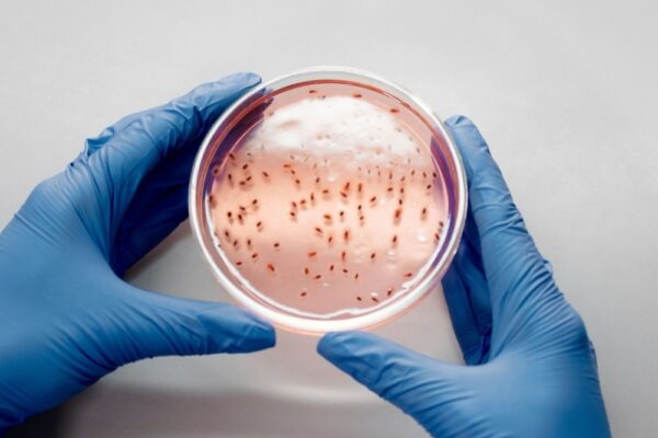 microbiology
